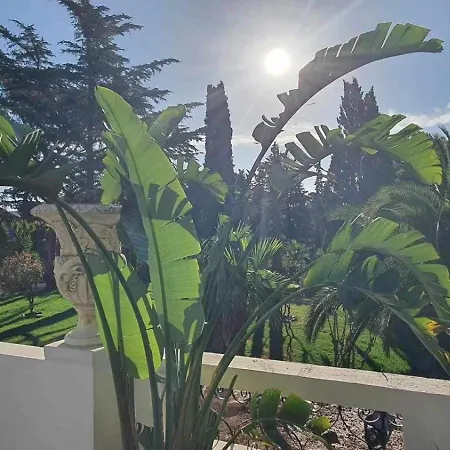 Apartment Riviera